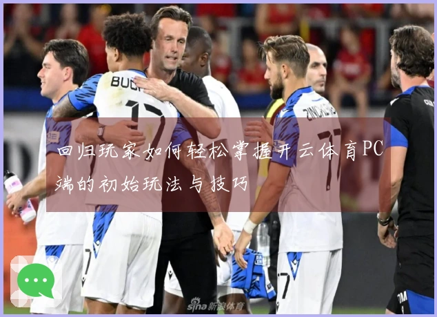 回归玩家如何轻松掌握开云体育PC端的初始玩法与技巧